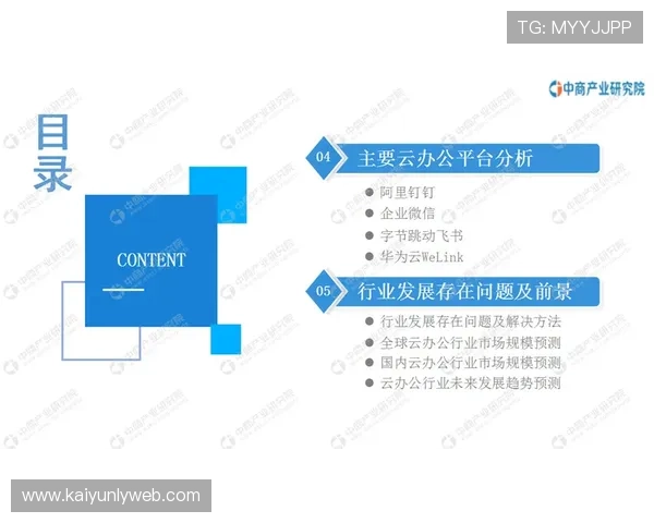 开云电子视频：全面解析电子视频行业的未来发展方向与市场潜力