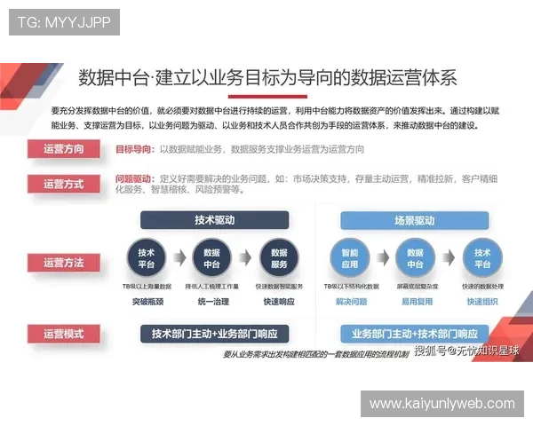 开云平台成功案例分析：如何实现游戏运营的高效转型与创新