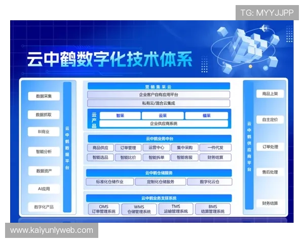 全面解析开云官方网站入口导航，助你轻松访问官方平台获取第一手游戏信息